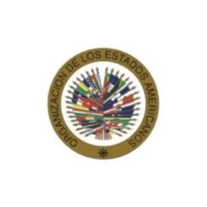 Organización de los estados unidos